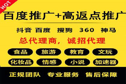 百度推广公司：行业领先的网络营销案例